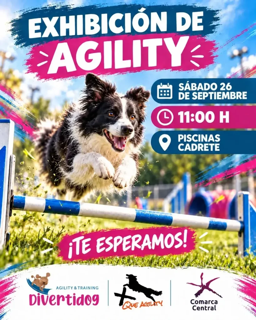 Exhibición de agility en Cadrete