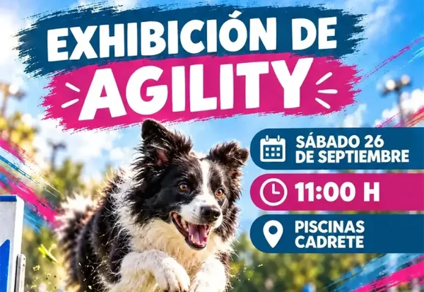 Exhibición de agility en Cadrete