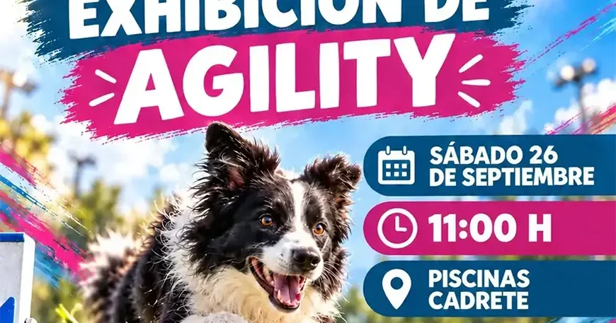 Exhibición de agility en Cadrete